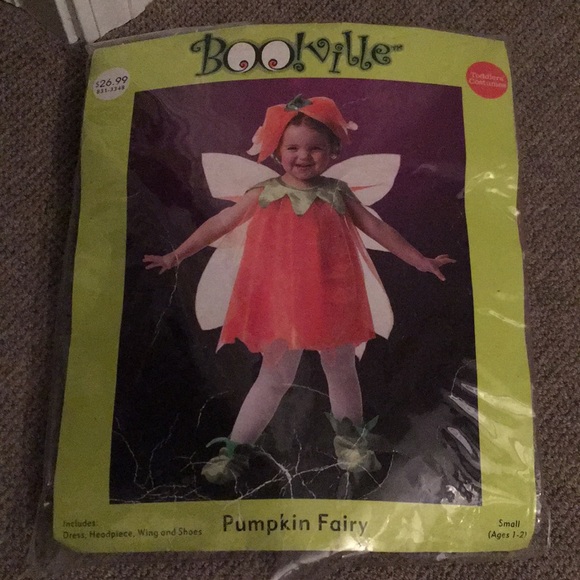 Pumpkin Fairy Costume - Picture 1 of 8